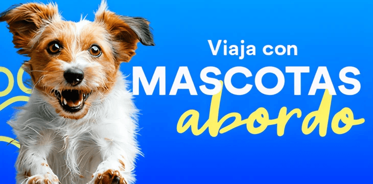 Viajando con Mascotas a Bordo