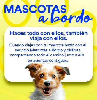 Mascotas a bordo