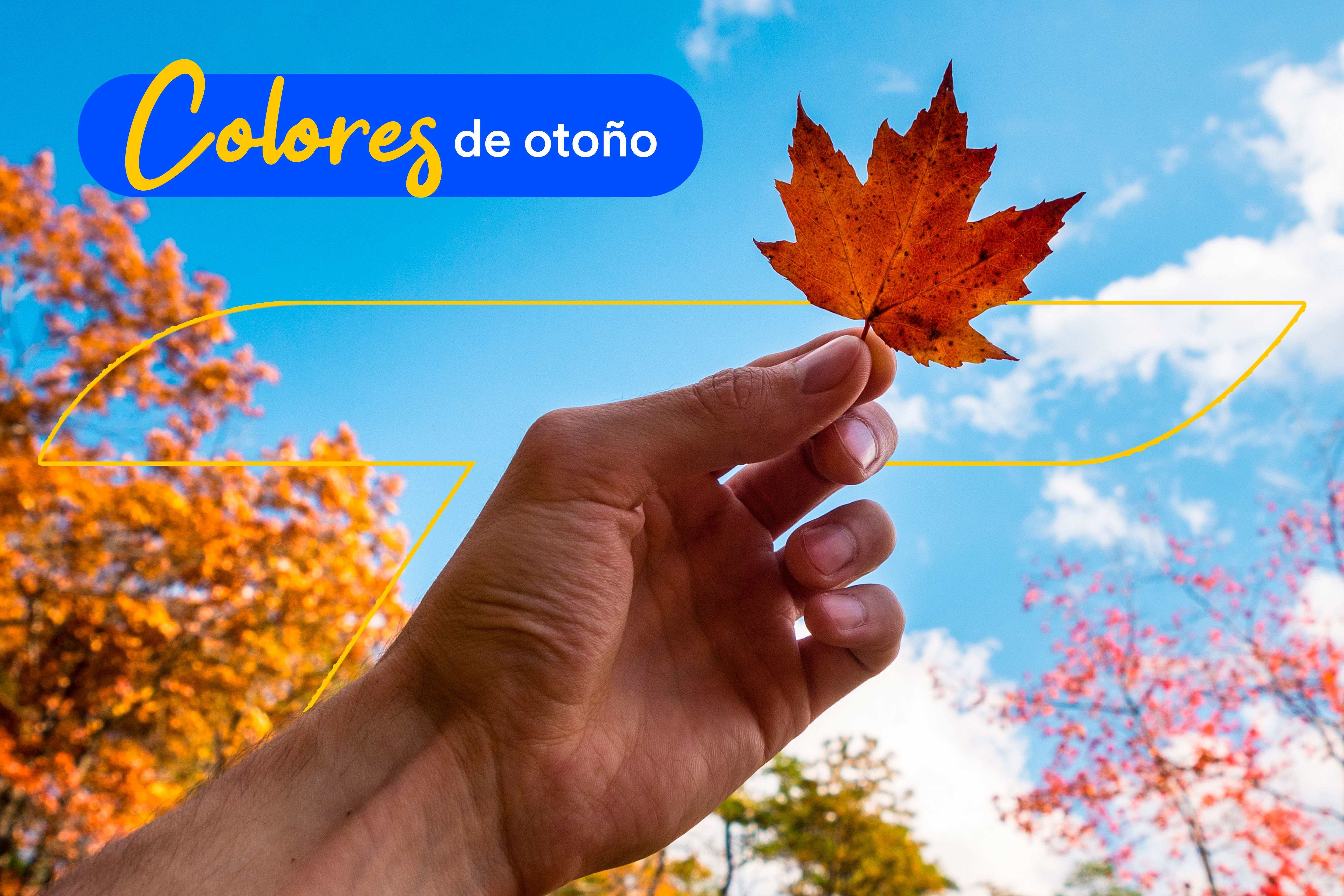 Colores de otoño